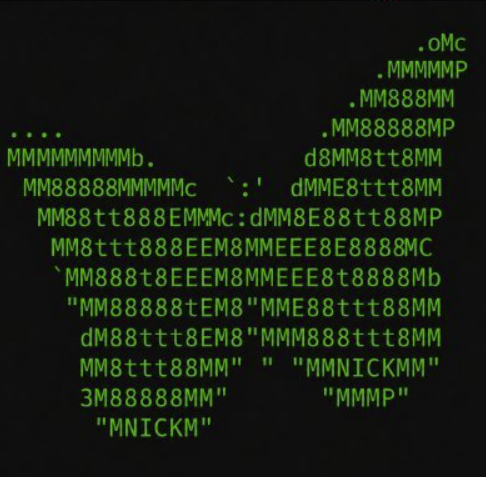 Token logo preview